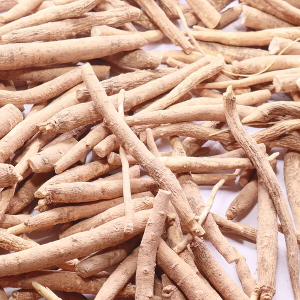 Raíces de ashwagandha (Withania somnifera), materia prima del extracto